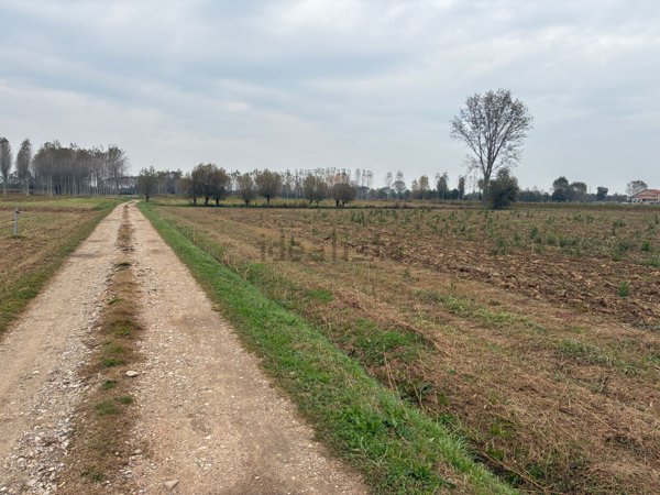 terreno in vendita a Vedelago in zona Casacorba