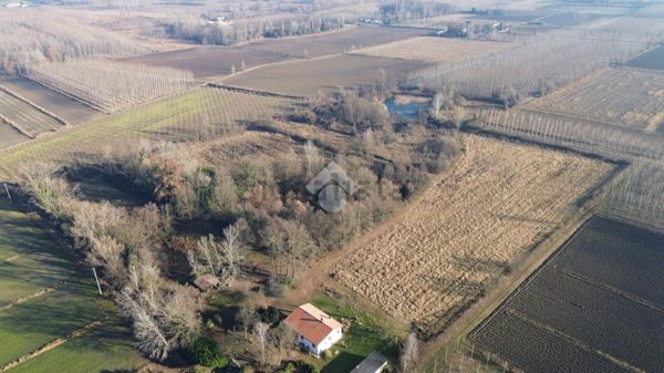 terreno agricolo in vendita a Vedelago