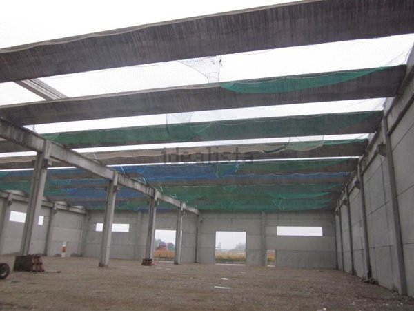 terreno edificabile in vendita a Vedelago