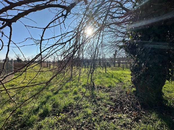 casa indipendente in vendita a Vedelago