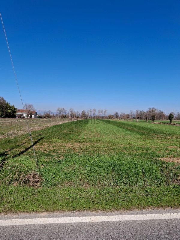 terreno agricolo in vendita a Vedelago in zona Cavasagra