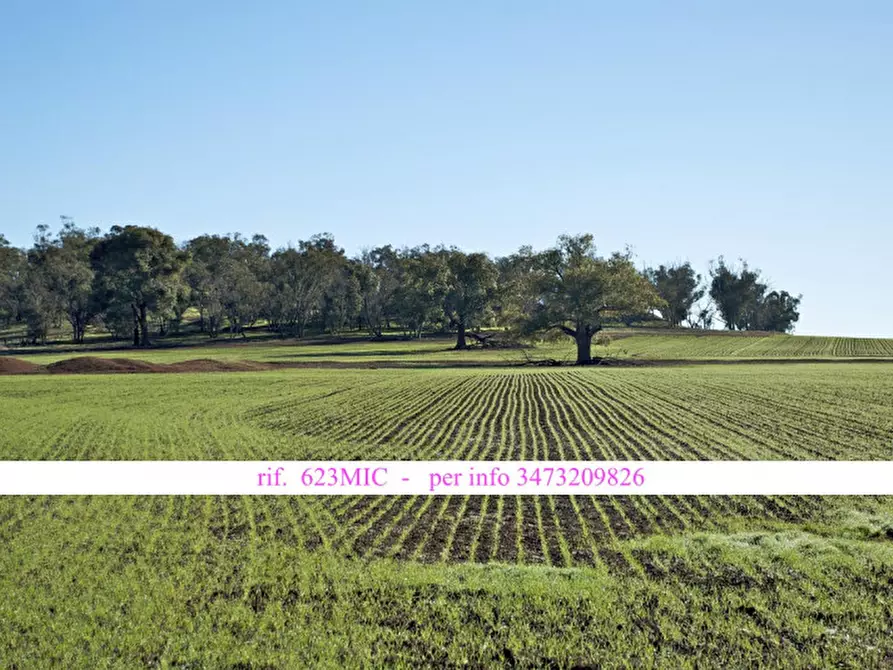 mansarda in vendita a Vedelago