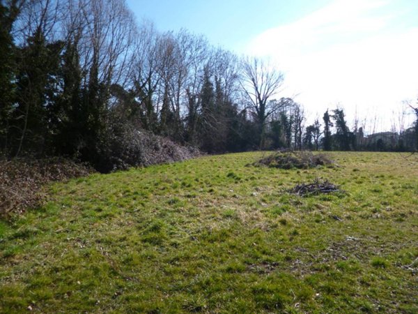 terreno agricolo in vendita a Vedelago in zona Cavasagra