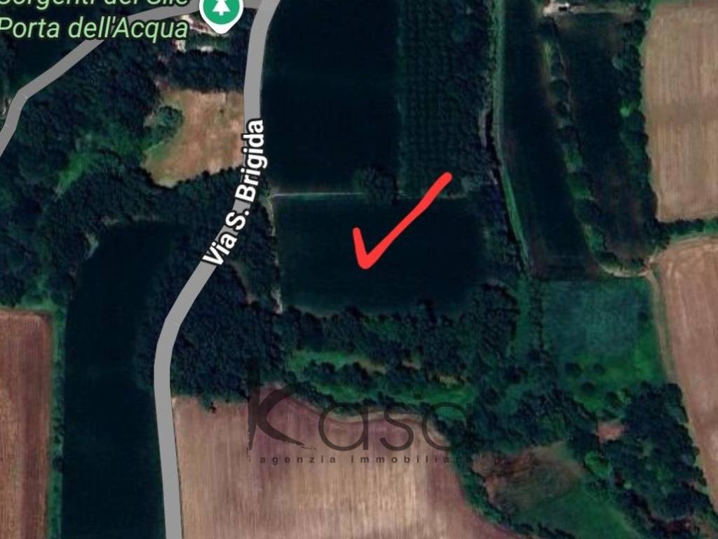 terreno agricolo in vendita a Vedelago