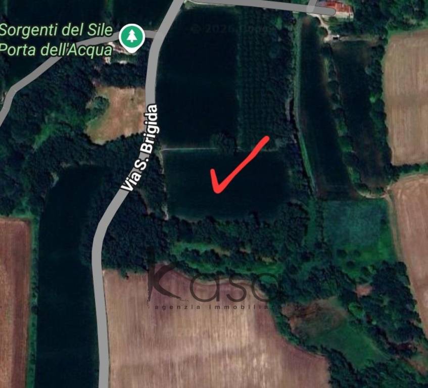 terreno agricolo in vendita a Vedelago