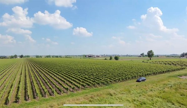 ufficio in vendita a Vedelago in zona Albaredo