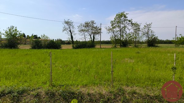 terreno agricolo in vendita a Vedelago in zona Fanzolo