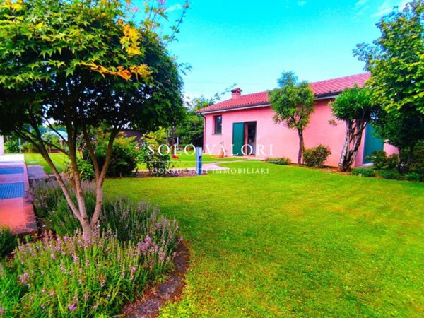 casa indipendente in vendita a Vedelago