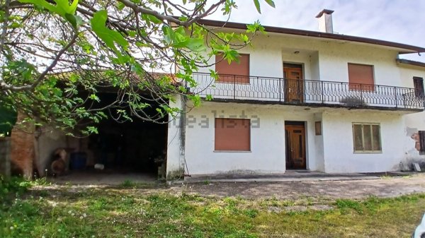 casa indipendente in vendita a Vedelago