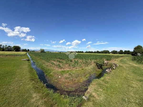 terreno agricolo in vendita a Vedelago