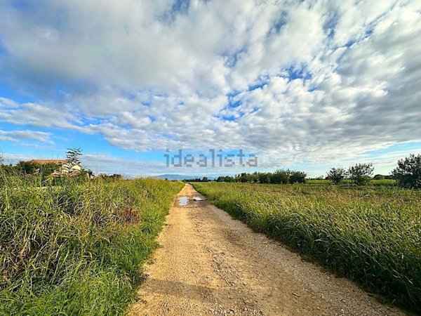 terreno in vendita a Vedelago in zona Casacorba