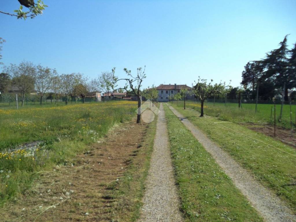 terreno in vendita a Vedelago