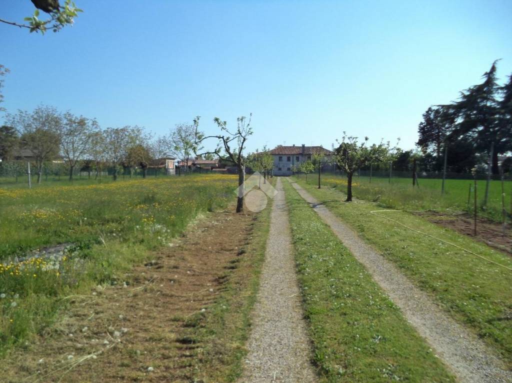 terreno in vendita a Vedelago