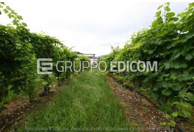 terreno agricolo in vendita a Vidor