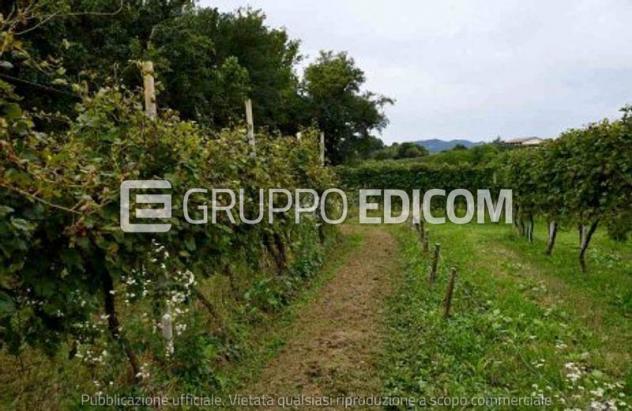 terreno agricolo in vendita a Vidor in zona Colbertaldo