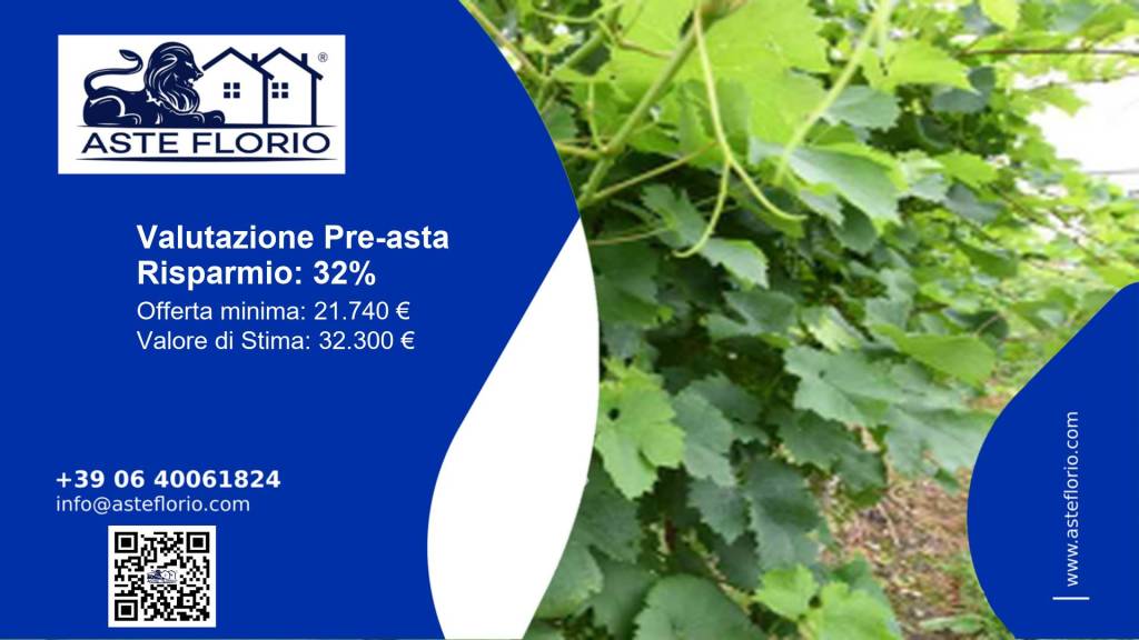 terreno agricolo in vendita a Vidor