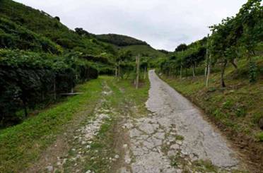 terreno agricolo in vendita a Vidor