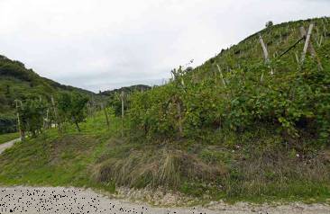 terreno agricolo in vendita a Vidor