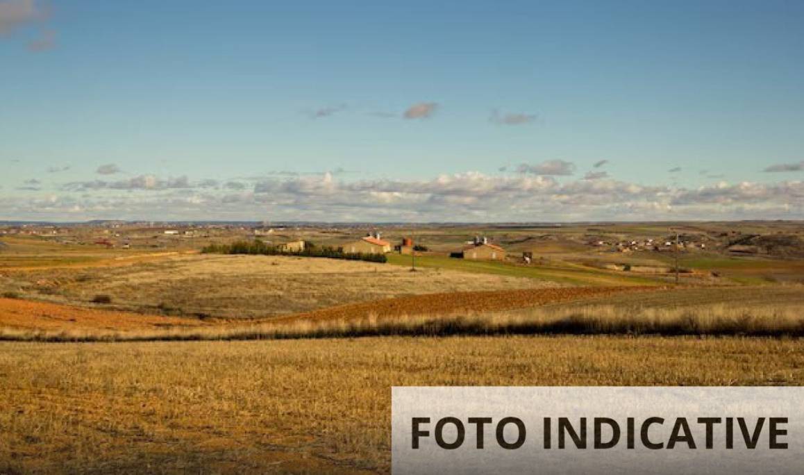 terreno agricolo in vendita a Vidor in zona Bosco