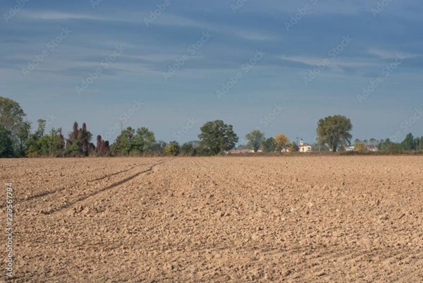 terreno agricolo in vendita a Villorba