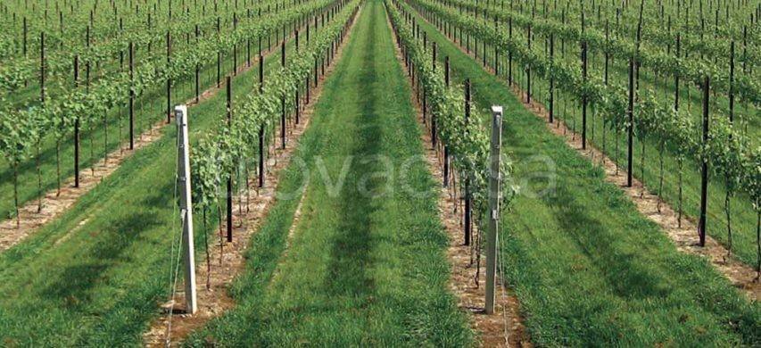 terreno agricolo in vendita a Villorba