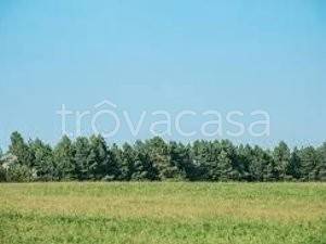 casa indipendente in vendita a Villorba in zona Catena
