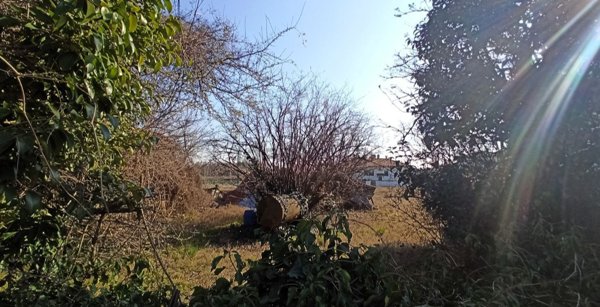 quadrivano in vendita a Villorba in zona Catena