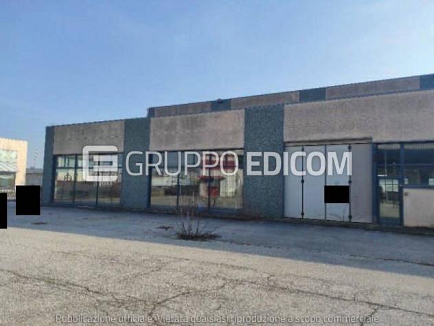 negozio in vendita a Villorba