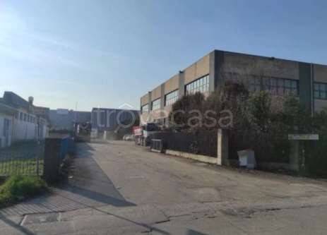 negozio in vendita a Villorba