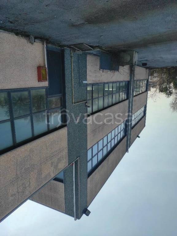 immagine annuncio 0 di 15