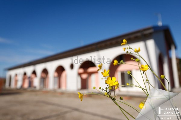 casa indipendente in vendita a Villorba
