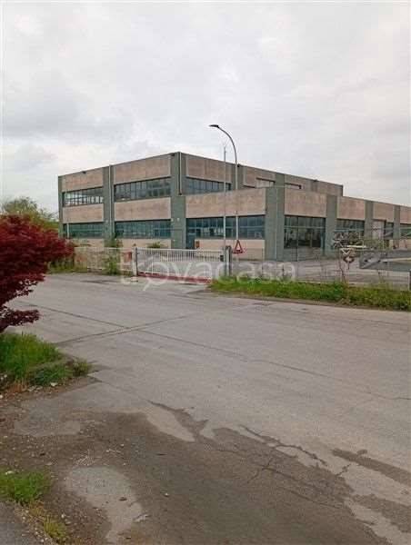 negozio in vendita a Villorba