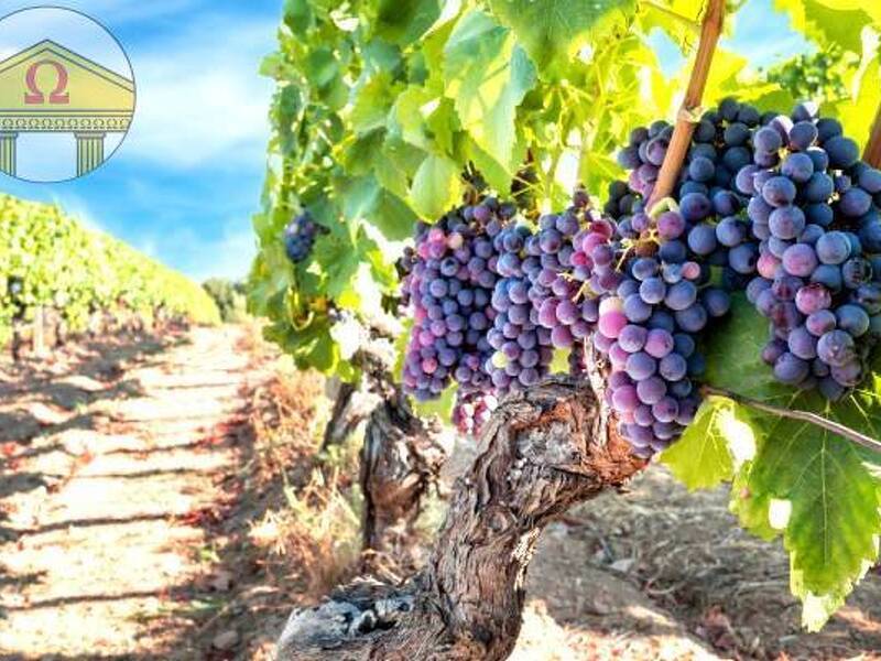 casa indipendente in vendita a Villorba