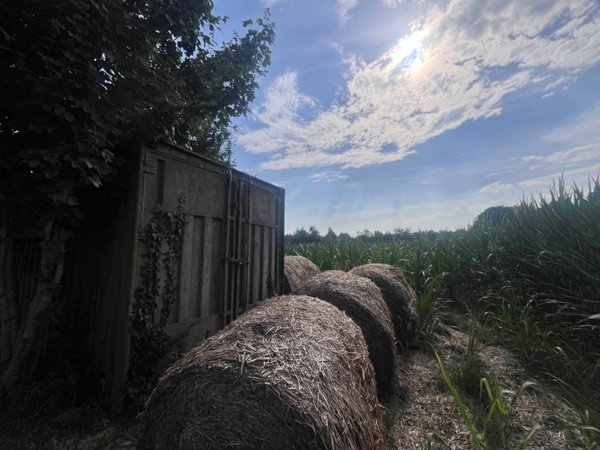 terreno agricolo in vendita a Villorba in zona Fontane