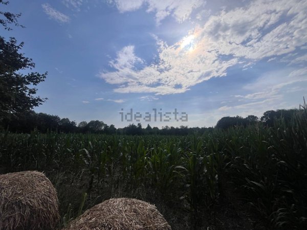 terreno agricolo in vendita a Villorba in zona Fontane