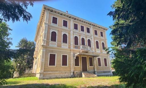 immagine annuncio 0 di 15
