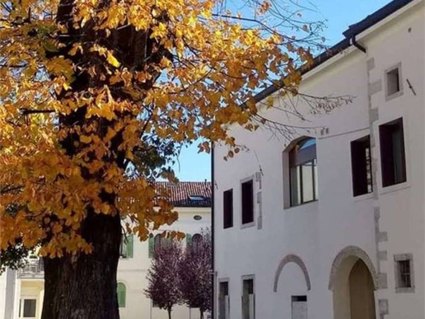 immagine annuncio 0 di 5