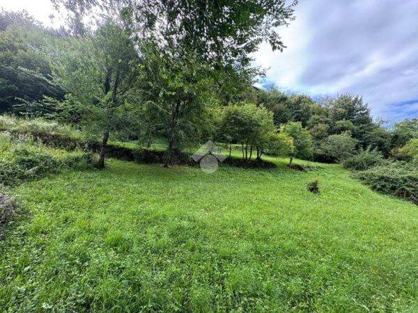 terreno agricolo in vendita a Vittorio Veneto