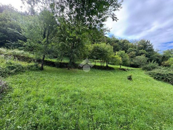 terreno agricolo in vendita a Vittorio Veneto
