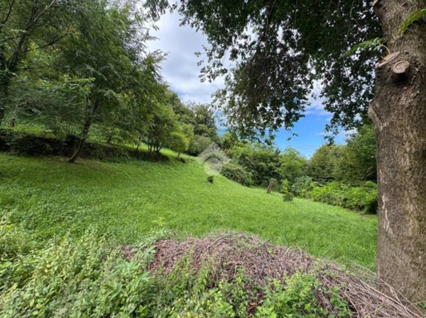 terreno agricolo in vendita a Vittorio Veneto
