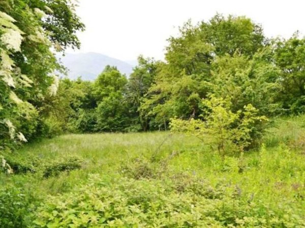 terreno agricolo in vendita a Vittorio Veneto