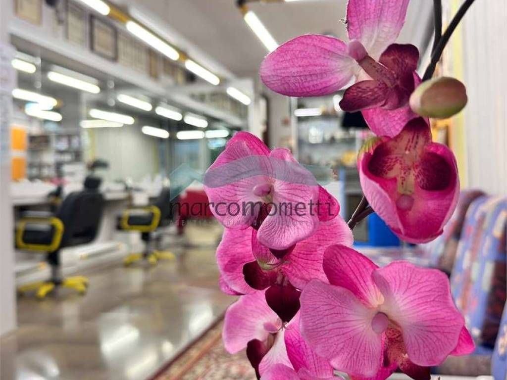 negozio in vendita a Vittorio Veneto