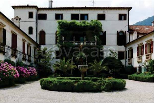 negozio in vendita a Vittorio Veneto