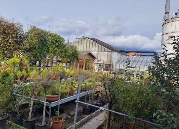 negozio in vendita a Vittorio Veneto