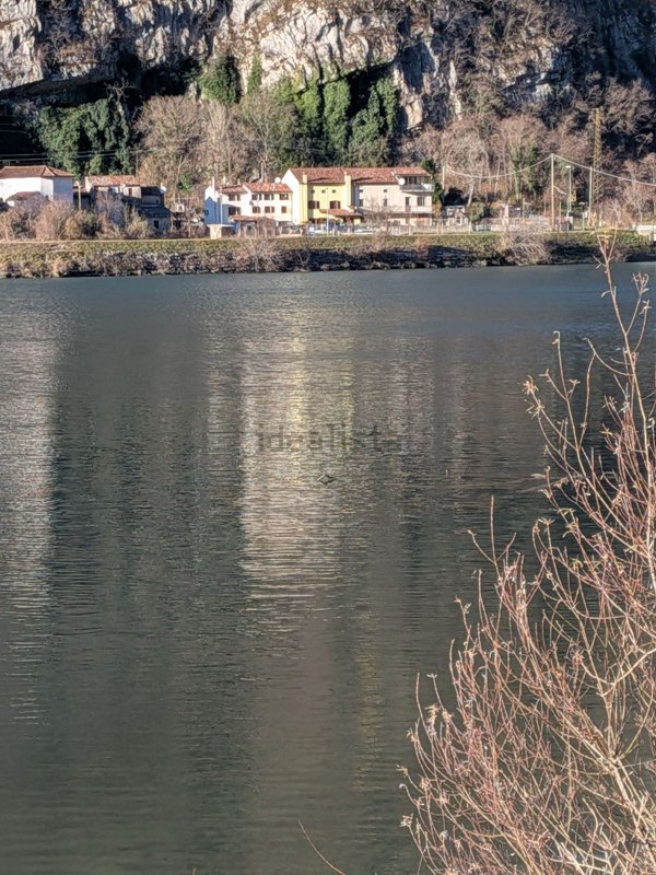 quadrivano in vendita a Vittorio Veneto