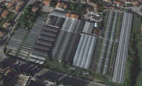 negozio in vendita a Vittorio Veneto