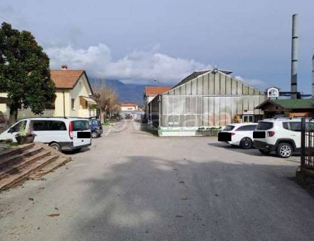 azienda agricola in vendita a Vittorio Veneto