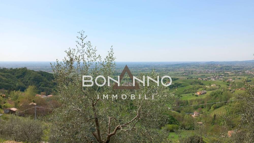 immagine annuncio 0 di 5