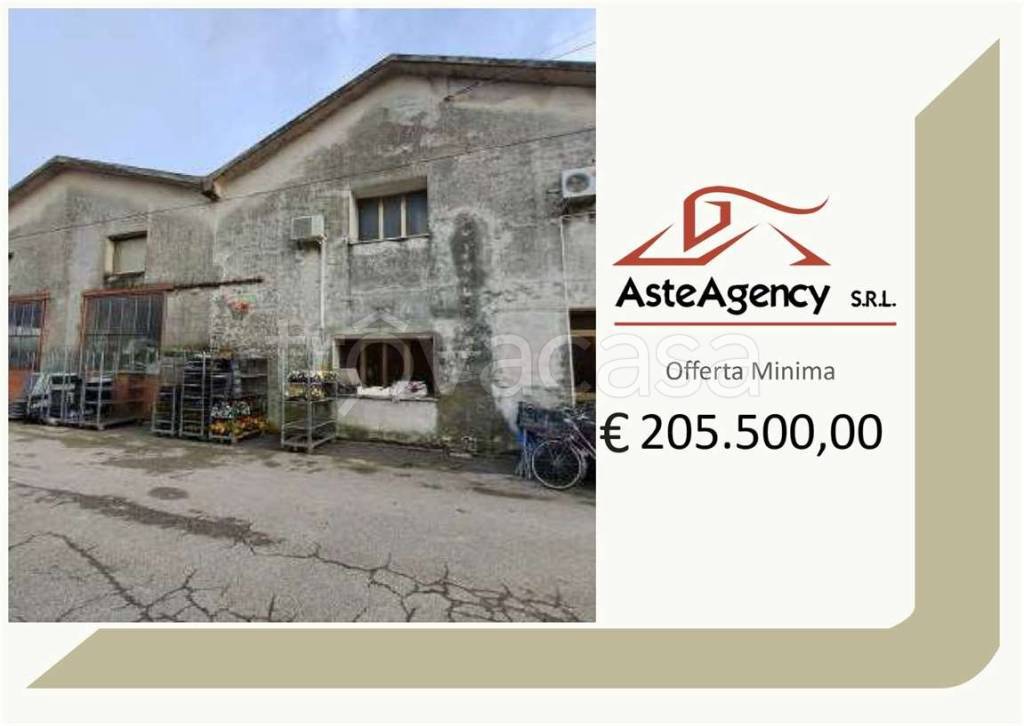 azienda agricola in vendita a Vittorio Veneto