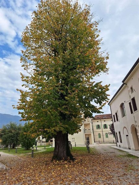 appartamento in vendita a Vittorio Veneto